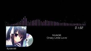 【Nightcore】NUAGE  Crazy Little Love [upl. by Ahsimat937]