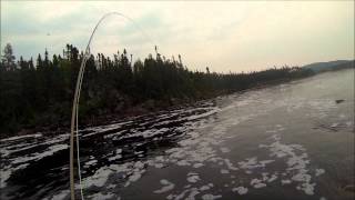 Fly Fishing Gilberts River [upl. by Linden]