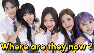 Let’s talk about BUSTERSWhere are the members now [upl. by Eglanteen]