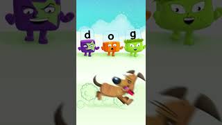 🐱 Cat amp Dog 🐶  Learning Words for 3 Year Olds  Alphablocks  Little Zoo shorts [upl. by Adnilre]