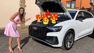 Audi Q8 on rikki [upl. by Strepphon]