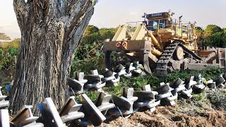 Clearing Wooded Land with Anchor Chain and Bulldozer [upl. by Liamsi]