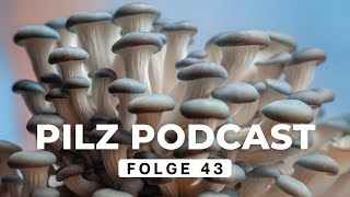 Pilz Podcast Folge 43  Pilze sammeln amp züchten mit drrattenkaiser5275 [upl. by Niaz530]