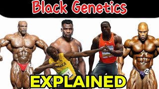 WEST AFRICAN GENETICS EXPLAINED [upl. by Demetris]