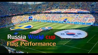 러시아 월드컵 국기 퍼포먼스  Russia World Cup Flag Performance Sweden and Korea [upl. by Bernardi153]