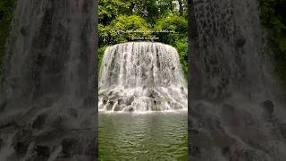 This beautiful waterfall is located in 📍Iveagh Gardens in Dublin City ireland dublin waterfall [upl. by Nairdad]