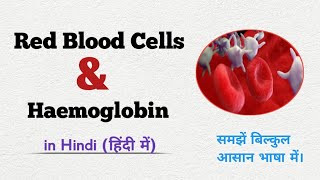 RBC Red Blood Cells  Haemoglobin  Haemocynin  Blood  Blood Circulation generalscience [upl. by Aldin]