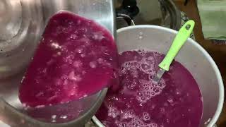 GRAPES WINE MAKING  Merlot wine  Pinoy wine makers  Davao wine making [upl. by Ingeberg]