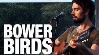 WATCH  Bowerbirds quotNorthern Lightsquot  indieATL session [upl. by Vokaay783]