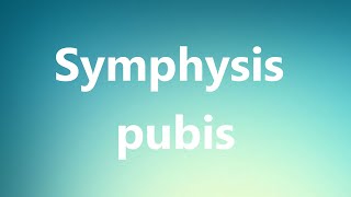 Symphysis pubis  Medical Definition and Pronunciation [upl. by Neelrahs]