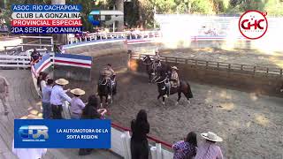 RODEO ASOC RIO CACHAPOAL CLUB LA GONZALINA MEDIALUNA DE HOSPITAL 3ERSERIE [upl. by Lefton51]