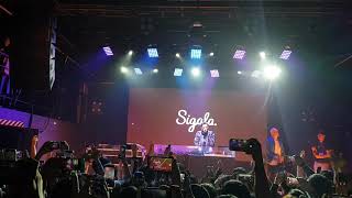 Sigala Live  Opening amp Sweet lovin  Live in Seoul Muv Hall2019331 [upl. by Endaira]