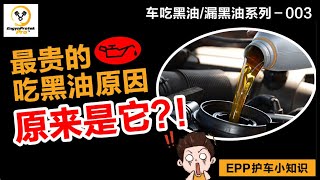 吃黑油漏黑油系列  003 车吃黑油最贵的原因！ [upl. by Enale]