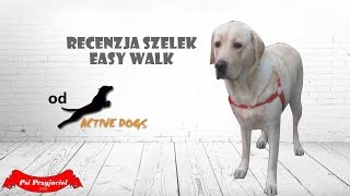 Recenzja szelek Easy Walk  różnica między obrożą a szelkami [upl. by Burris]