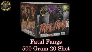 Fatal Fangs  500 Gram 20 Shot Firework  Dragon Blade Fireworks [upl. by Alanah240]