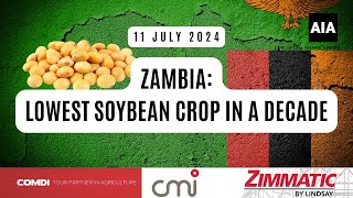 Zambian Soybeans lowest in a DECADE  11 July 2024 [upl. by Airbma997]