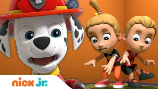 PAW Patrol Rescues Double Trouble Twins w Chase Marshall amp Skye  Nick Jr [upl. by Hama]