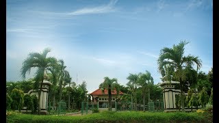 Bukit Wilis Hotel Tuban Resort Sejuk dengan Konsep Cottage [upl. by Toomin]