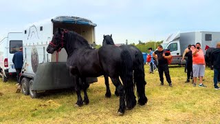 🛑Festival Ecvestru Tunari județul Ilfov 2024 [upl. by Nalliuq422]