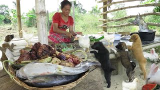 Food for animals  Women cook fish and meat for puppies and ducklings  They eat happily [upl. by Gray]