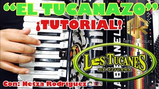 EL TUCANAZO  TUTORIAL DE ACORDEÓN  Netza Rodríguez 🙋🏻‍♂️🪗 [upl. by Saeger]