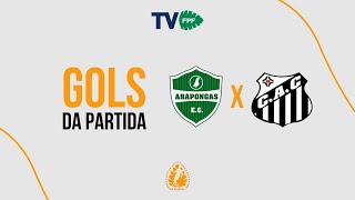 GOLS  Arapongas 9x0 Cambé  Terceirona 2024  Rodada 8 [upl. by Cristina]