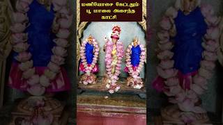 மணியோசை கேட்டதும் பூ மாலை அசைந்த காட்சி  malaikkovil Kulanthai Velayutha swami [upl. by Aiam259]