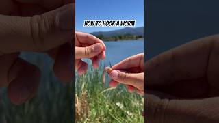 How to bait a hook Please like and subscribe [upl. by Cordell41]