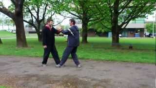 Xingyiquan An Shen Pao  形意拳  安身炮 [upl. by Oos]