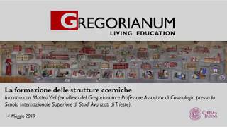 La formazione delle strutture cosmiche  Incontro con Matteo Viel 14052019 [upl. by Annor48]