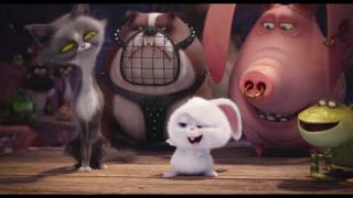 The Secret Life Of Pets  Two Kinds of Pet Owners Dog HD  Illumination [upl. by Danaher]