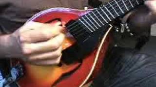 Gibson 5 string jazz mandolin with fanned frets 2 [upl. by Eirtemed]