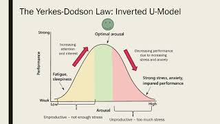 Arousal Theory of MotivationYerkes Dodson LawHebb TheoryUrduHindi [upl. by Eedrahc405]