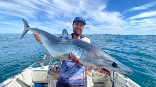 Westernport amp Bass strait Shark fishing chasing Makos and Bronzeys [upl. by Dituri652]