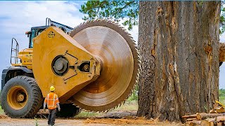 Destruction of 23 million Rupiah Teak Wood at Sawmill [upl. by Keil]