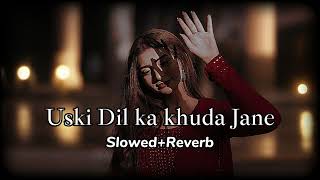 Uski Dil Ka Khuda Jane ¦ Slowed and Reverb Song ¦ New Song 2024 ¦ Punjabi Songs music lofihiphop [upl. by Ripp]