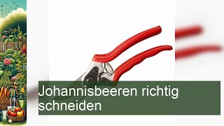 Johannisbeeren richtig schneiden [upl. by Jenkel]