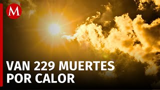 Por altas temperaturas 229 personas han fallecido en México [upl. by Dasi]