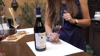 Italian Winery Tour Making Barolo and other Great Wines [upl. by Nuhsar]