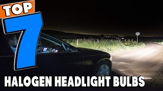 Top 7 Best Halogen Headlight Bulbs Review in 2024 [upl. by Wales]