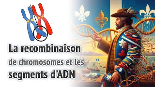 La recombinaison de chromosomes et les segments dADN [upl. by Minny]