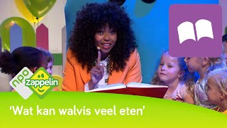 ETEN  Lezen met Fenna  NPO Zappelin [upl. by Nitnert]