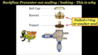 Backflow Preventer leaking not sealing  THIS IS WHY [upl. by Etteb]