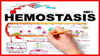 HEMOSTASISBLOOD CLOTTING MECHANISM part 1Natural Anticoagulants [upl. by Eustazio]