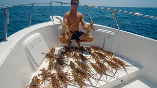 Caribbean SPINY Lobster Catch Clean Cook 2021 Florida Lobster Mini Season [upl. by Zoila616]