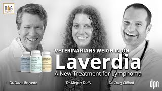 Laverdia A New Treatment for Lymphoma  Dr D Bruyette Dr M Duffy and Dr C Clifford Deep Dive [upl. by Emmy]