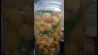 Salted Gooseberry Recipe Salted Gooseberry Recipe  Nellikka uppilittathu  Amla Pickle Recipe [upl. by Nilson]