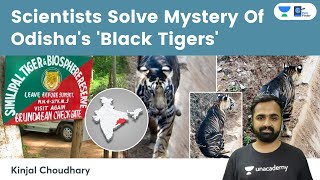 Scientists Solve Mystery Of Odishas Black Tigers  Simlipal  Taqpep Gene  InBreeding  NCBS [upl. by Jacy]