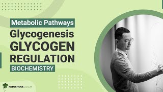 Glycogenesis and Glycogen Regulation [upl. by Yseulte]