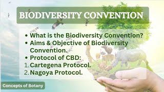 Convention on Biological Diversity Aims and Objective Cartagena and Nagoya Protocol Hindi Urdu [upl. by Seale]